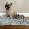 Ruby n Winston - @ruby.n.winston - TikTok