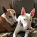 Ruby Winston - Facebook