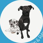 Winston & Ruby - @winstonruby - Instagram
