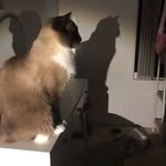 Ruby Wiseman - @ruby_doo27 - Instagram