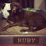@_ruby.woods_ - Instagram