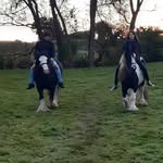 Ruby - @rubywoodward12 - Instagram