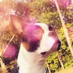 Ruby Worthington - @rubyworthingtonboston - Instagram
