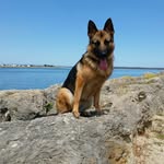 Tess - @rubyskipworth - Instagram