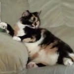 Ruby Wray - @wrayruby - Instagram