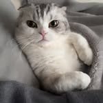 Ruby Yeh - @hses108092 - Instagram
