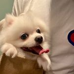 Ruby Yip - @rubyyip2001 - Instagram