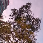 Ruchika - @ruchika._.mehta - Instagram