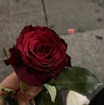 Ruchika Roy - Facebook