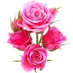 Rudolph Lee - Facebook