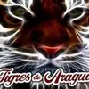 Rudolph Perez595 - @rudolphperez595 - TikTok