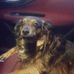 Rudy Bernardini - Facebook