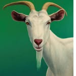 Rudy Blankenship - @rudy_blankenship - Instagram