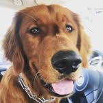 Rudy - @rudytheblanketlover - Instagram