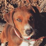 Rudy Comer - @rudy_tooty101 - Instagram