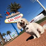 Rudy Edwards - @mrrudylv - Instagram