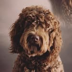 Rudy Edwards - @imrudythedood - Instagram