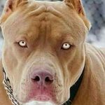 Rudy - @rudyjohn69 - Instagram