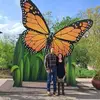 Rudy Navas - @rudy.navas24 - TikTok