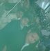 Rudy Rubio - Facebook