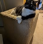 Rudy Simpson - Facebook
