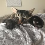 Rudy Waters - @marineofficer - Instagram
