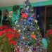 Rufina Torres Romero - Facebook