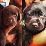 Rufus and Rosita Aragon Barnes - @beach_ositos - Instagram