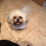 Rufus thomas barnes - @rufustwbarnes - Instagram