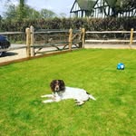 Ollie Barrow - @rufus_barrow - Instagram