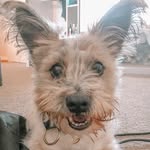 Rufus Barreca - @rufusbarreca - Instagram