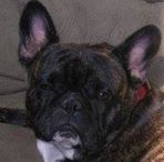 Rufus Burns - Facebook