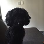 Rufus Tyler Campbell - @rufus_tyler - Instagram