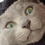 Rufus Cannon - Facebook