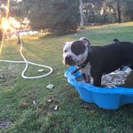 Rufus - @_.rufus.curtis._ - Instagram