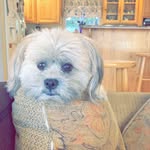 Rufus Douglas Yazzie - @rufus_douglas_yazzie - Instagram