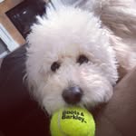 Finley Rufus - @finleyrufus - Instagram