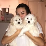 Hi 👋🏼 We’re Rufus & Finley - @rufusandfinley2 - Instagram