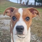 Rufus Fleming - Facebook
