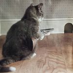 Rufus Fleming - @rufus.fleming.7 - Instagram
