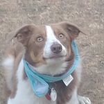 Rufus Fleming - @rufus.s.fleming - Instagram