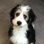 Rufus Ford - @rufusford111 - Instagram