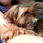 Henry_Rufus_Zwiener - @henry_rufus_zwiener - Instagram