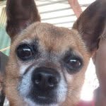 Rufus Henry Belmán - @im_rufus_and_proud - Instagram