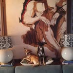 Rufus&Henry - @rufus.and.henry - Instagram