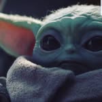 keegan - @rufus_and_keegan1027 - Instagram