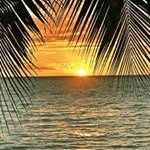 Nick Rufus Keeling - @keeling.rufus.nick - Instagram