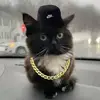 Rufusenok1 - @user4881436550905 - TikTok