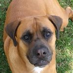 Rufus Lawson - Facebook
