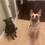 Rico and Rufus Mack - @the_rico_rufus_show - Instagram